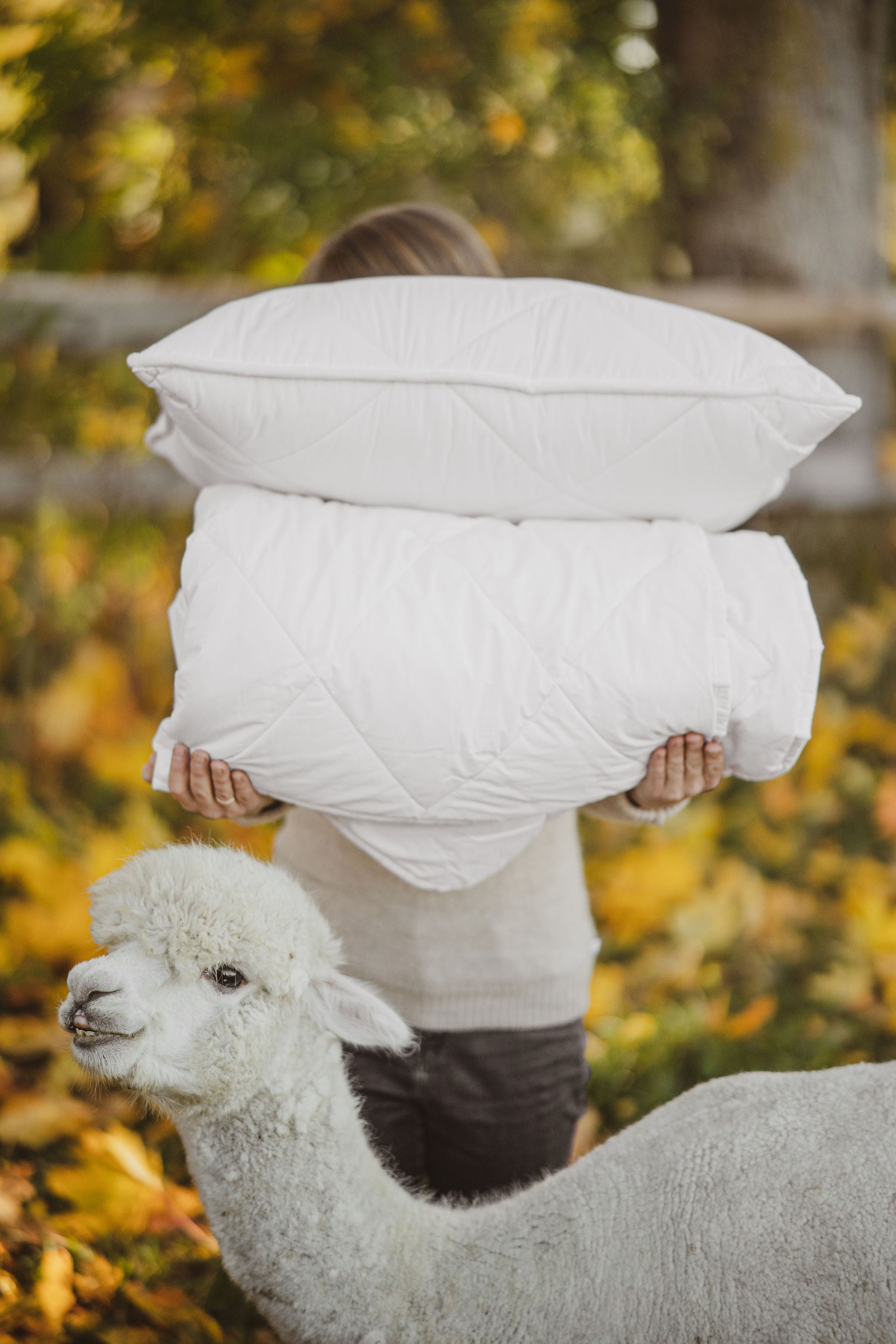 Alpakų vilnos antklodė - Nemuno alpakos