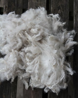 Balta alpakos vilna – 50 g (baby alpaca)