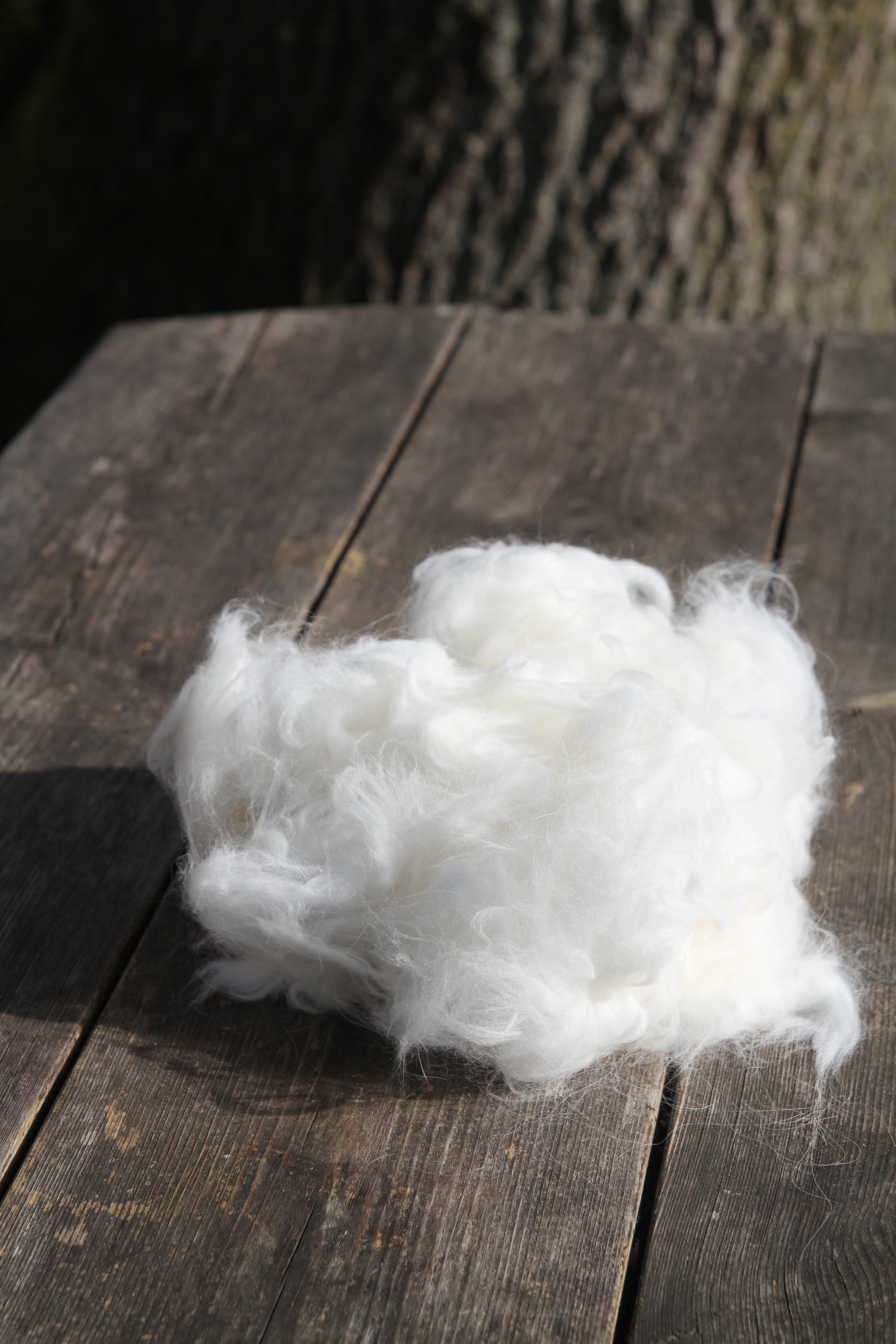Baltas angoros pluoštas – 50 g - Nemuno alpakos